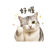 840011207