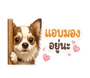 840012558