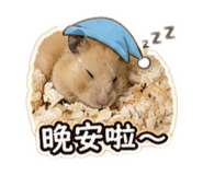 840019498
