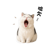 840020755
