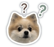 840021563