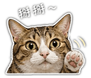 840021676