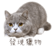 840038168
