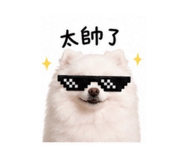 840038272