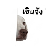 840040664