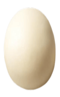 840043042