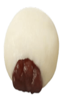 840043048