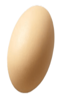 840043064
