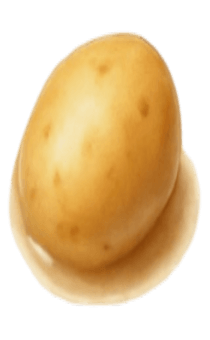 840043075