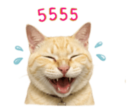 840044045