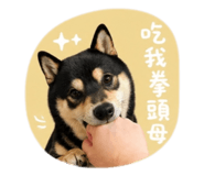 840048634