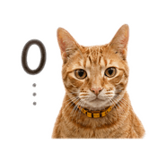 840050015
