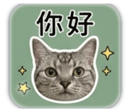 840050665