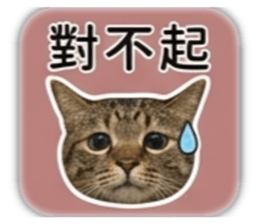 840050666
