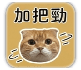 840050667