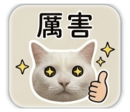 840050672