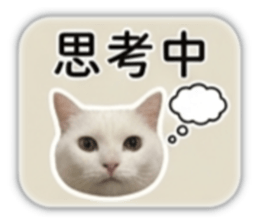 840050684