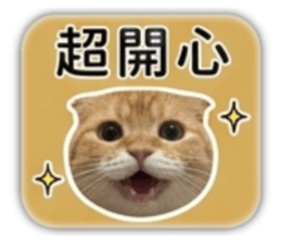 840050697