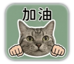 840050701