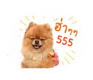 840054980