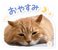 840057337