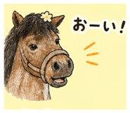 840060945