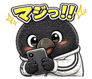840063705