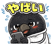 840063709