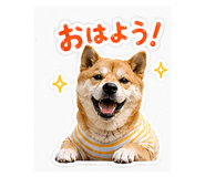 840063882