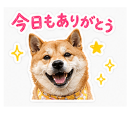 840063900