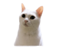 840064919