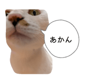 840065016