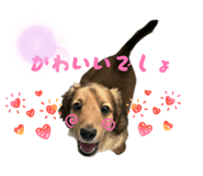 840065092