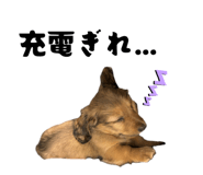 840065098