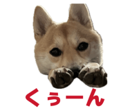 840065665
