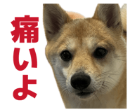 840065668