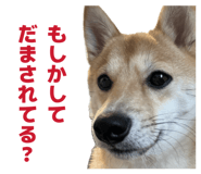 840065669