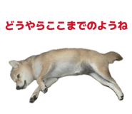 840065670