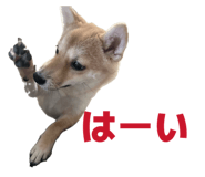 840065671