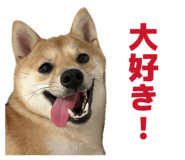 840065675