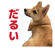 840065676