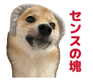 840065685