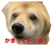 840065687