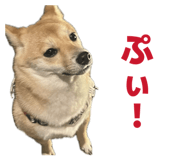 840065688