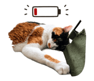 840065930