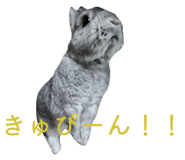 840067125