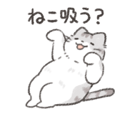 840068548