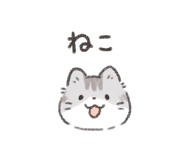 840068557