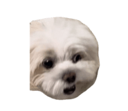 840068762