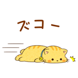 840068810